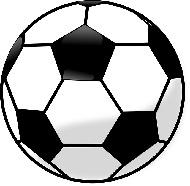 Soccer Field Reservation